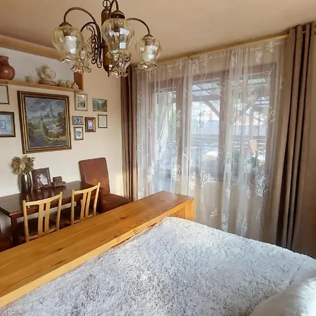 斯沃伊思住宿加早餐旅館 Cesky Krumlov