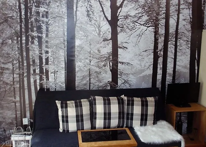 Svojse 3* Český Krumlov